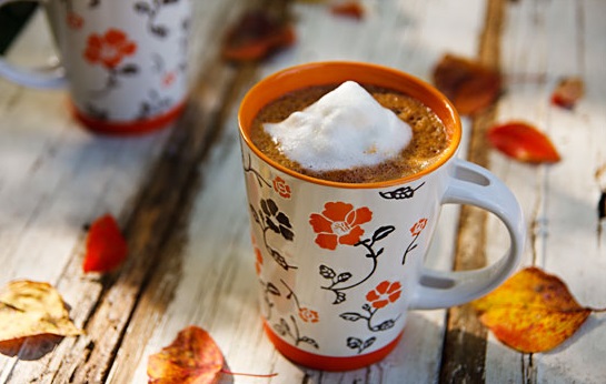 Pumpkin Hot Chocolate